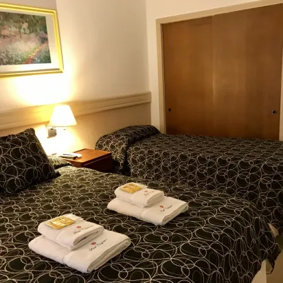 Vista de Camas Habitación Superior Pluss